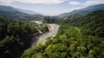 A river winds through trees and hills.