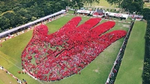 Lifebuoy Guinness World Record: Largest Human Image of a Hand